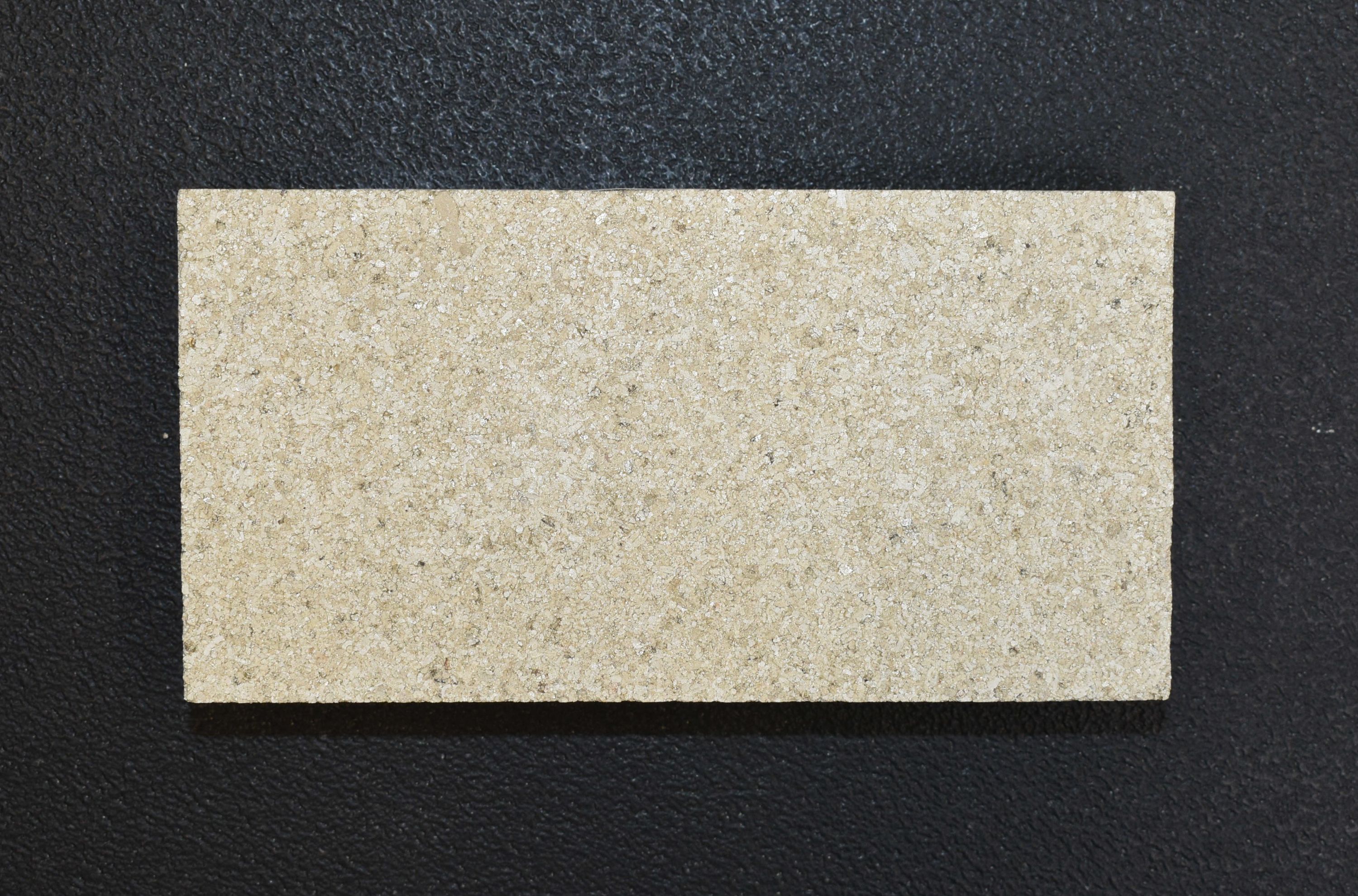 Justus Hamar Bodenstein hinten